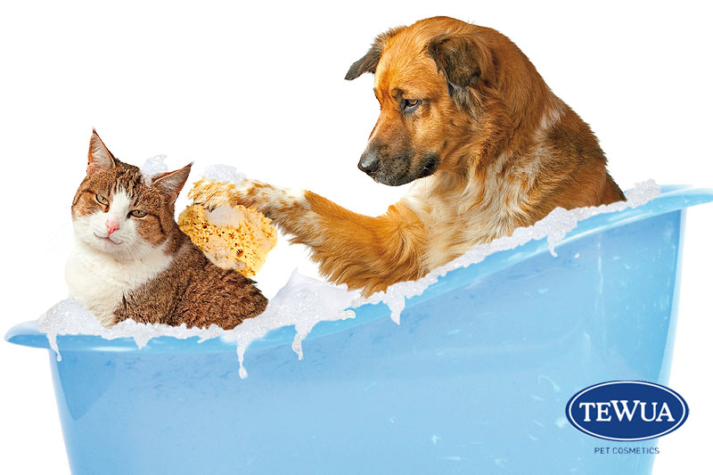 Lo shampoo? Roba da cani