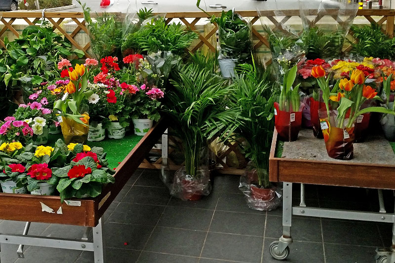 Bricocenter ha il pollice verde