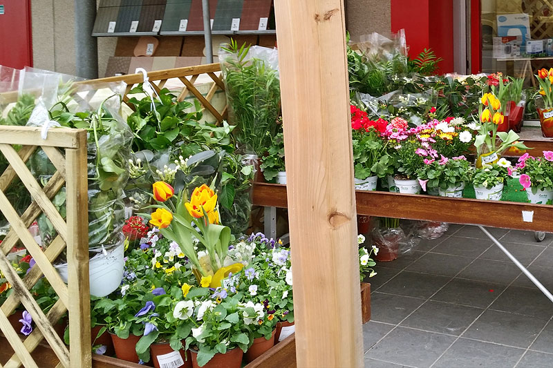 Bricocenter ha il pollice verde