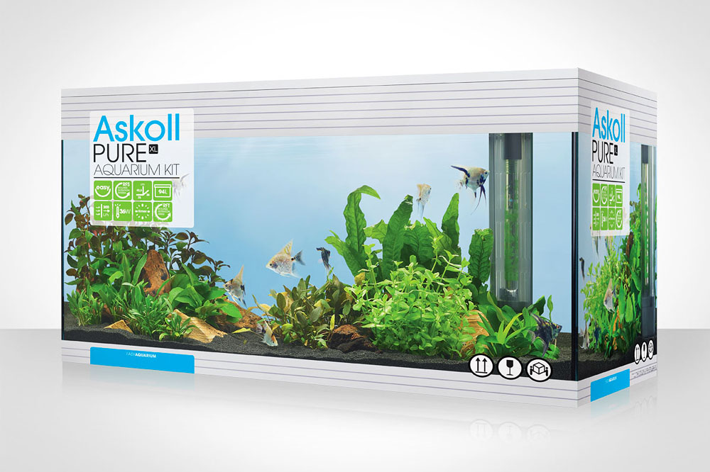 Ho visto il tramonto nell’acquario