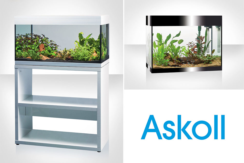 Ho visto il tramonto nell’acquario