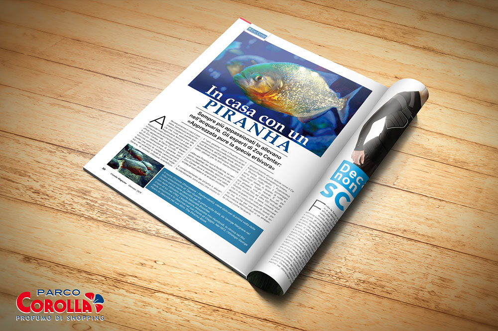 In casa con un Piranha