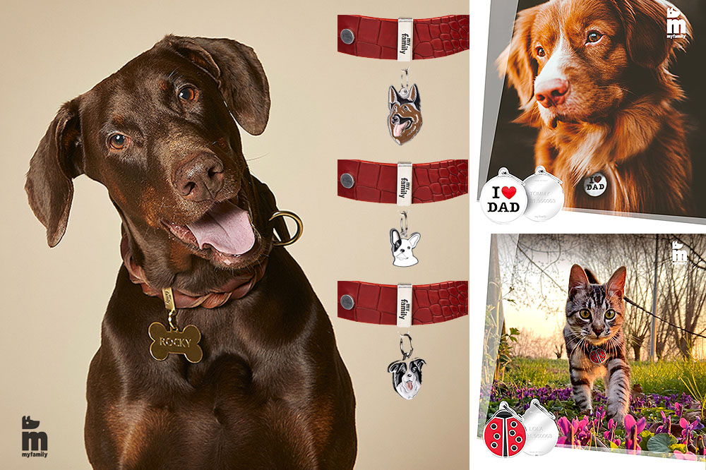 Com’è spiritosa questa medaglietta!