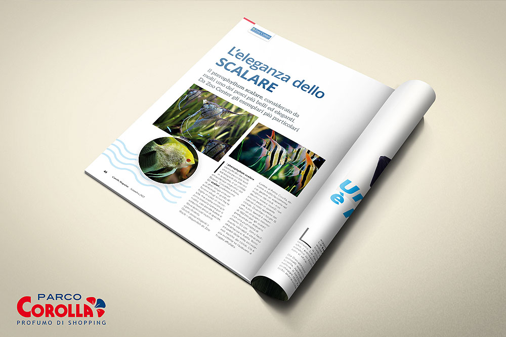 L’eleganza dello Scalare