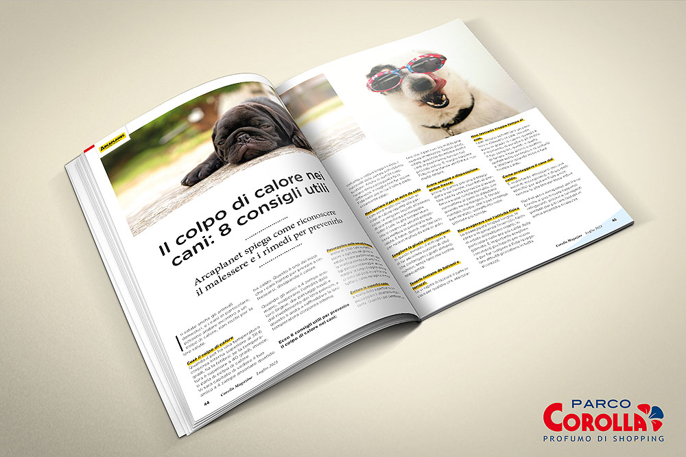 Il colpo di calore nei cani: 8 consigli utili