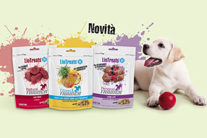 Pasto a quattro zampe