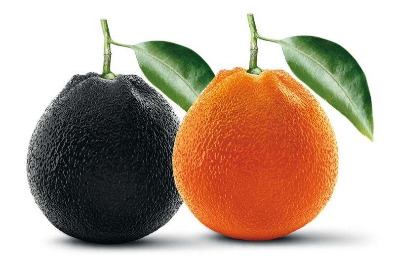 All’Ipercoop tutti 'Buoni e Giusti'