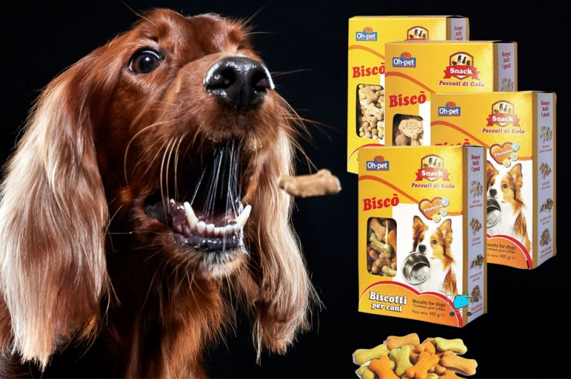 Toglietemi tutto ma non il mio snack