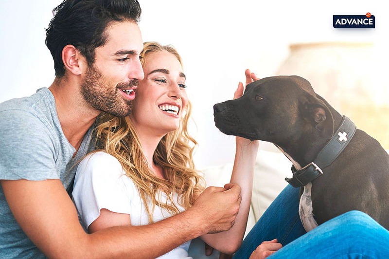 Advance, il cibo che “cura” il tuo cane 