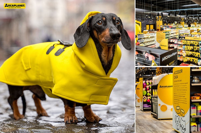 Come proteggere il cane dalla pioggia